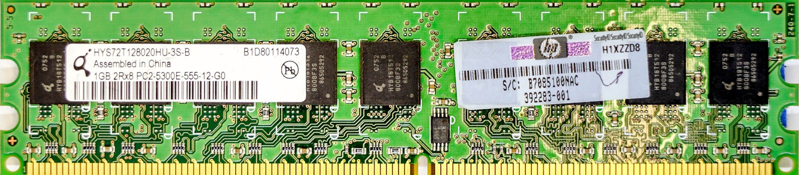 HP (392283-001) - 1GB PC2-5300E (DDR2-667Mhz, 2RX8)
