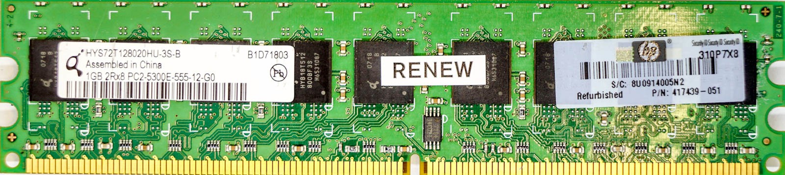 HP (417439-051) - 1GB PC2-5300E (DDR2-667Mhz, 2RX8)